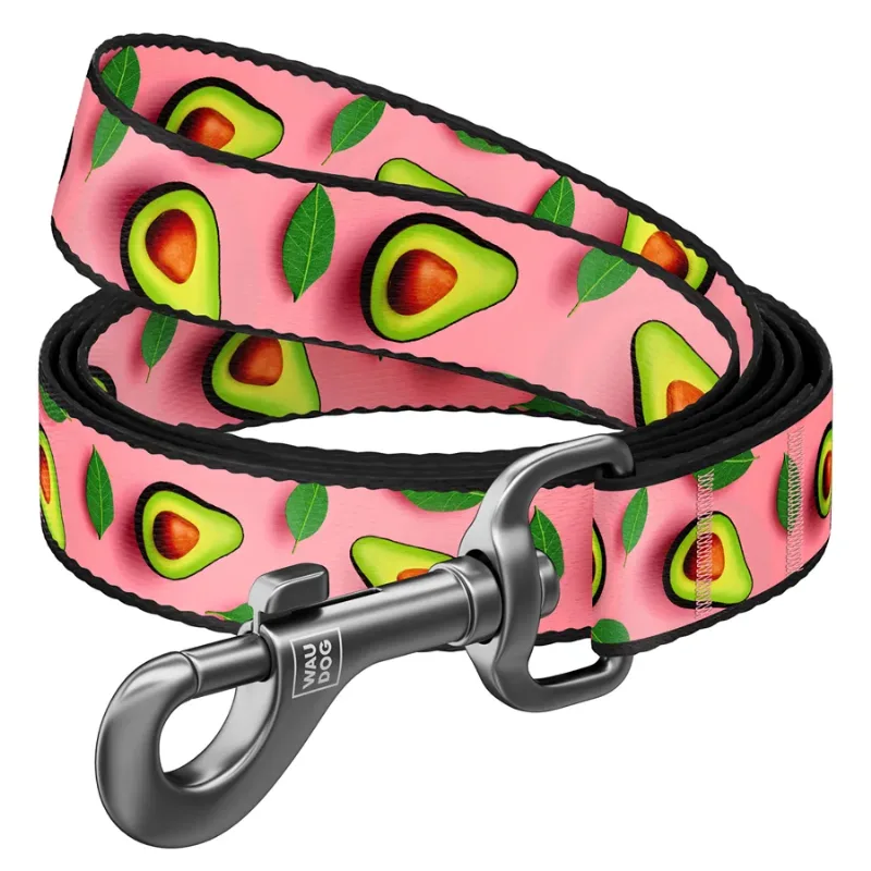 Повідець для собак нейлоновий «Авокадо на рожевому», 15 мм × 122 см, S WAUDOG Nylon Leash Avocado on Pink