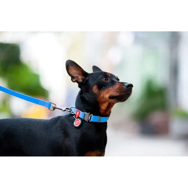 Нашийник для собак водостійкий, металева пряжка, M, блакитний WAUDOG Waterproof Collar