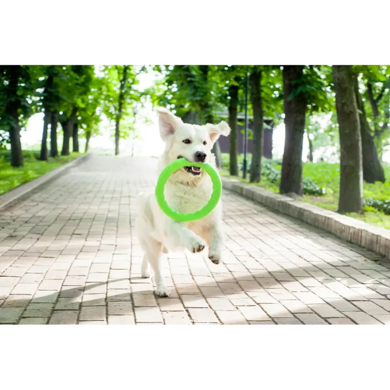 Кольцо для апортировки 20, салатовый PitchDog Fetch Ring