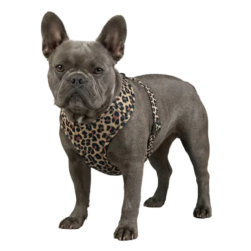 Шлея для собак дихаюча «Леопард», M WAUDOG Mesh Soft Harness Leopard