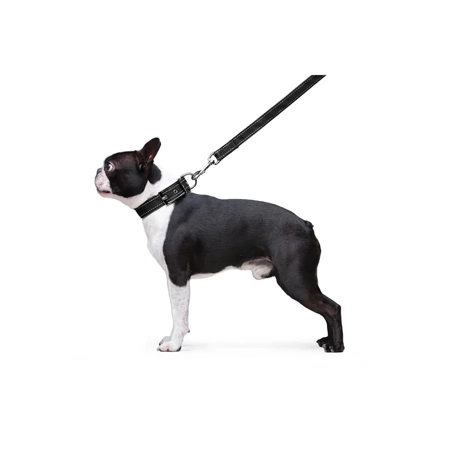 Повідець з нейлону подвійний, M, чорний Dog Extreme Leash