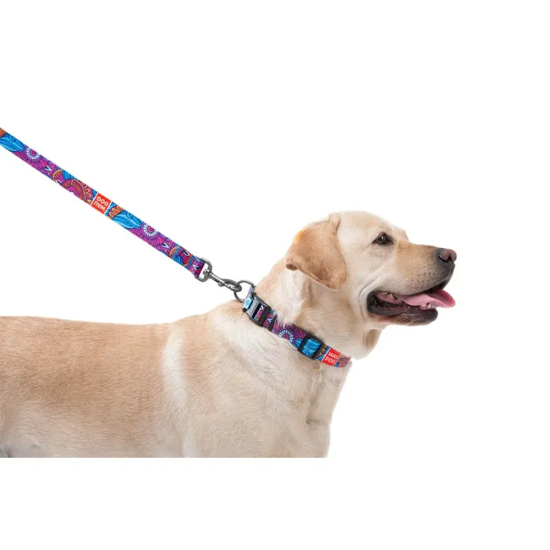 Повідець для собак нейлоновий «Літо», M WAUDOG Nylon Leash Summer