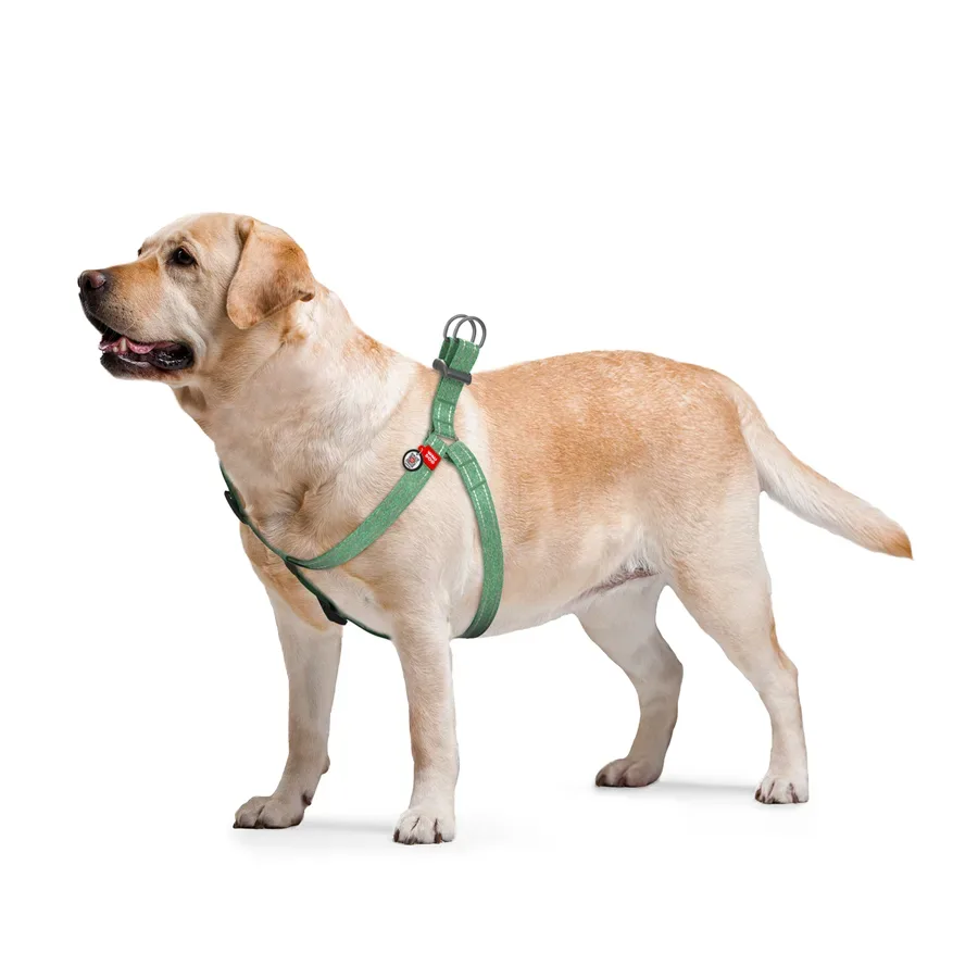 Шлея з відновленої бавовни, світловідбивна, L, зелений WAUDOG Re-cotton Harness