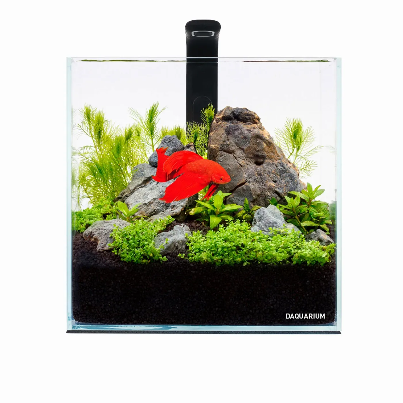 Комплект Pico Set 5 літрів AquaLighter Pico Aquarium Kit