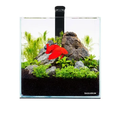 Аквариумный набор Pico Set 5 литров AquaLighter Pico Aquarium Kit