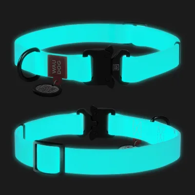 Ошейник для собак водостойкий, светящийся, металлическая пряжка, XL WAUDOG Waterproof Collar