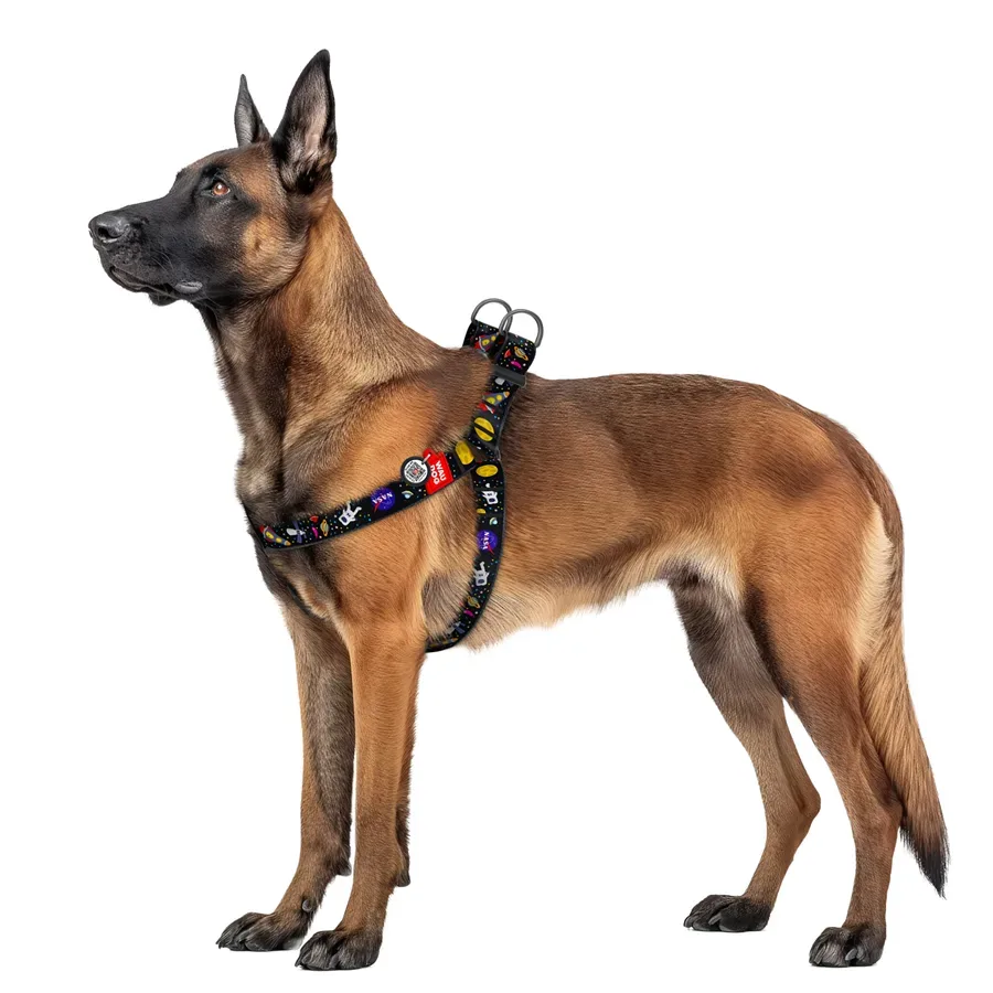Шлея для собак «NASA», XL WAUDOG Nylon Harness NASA