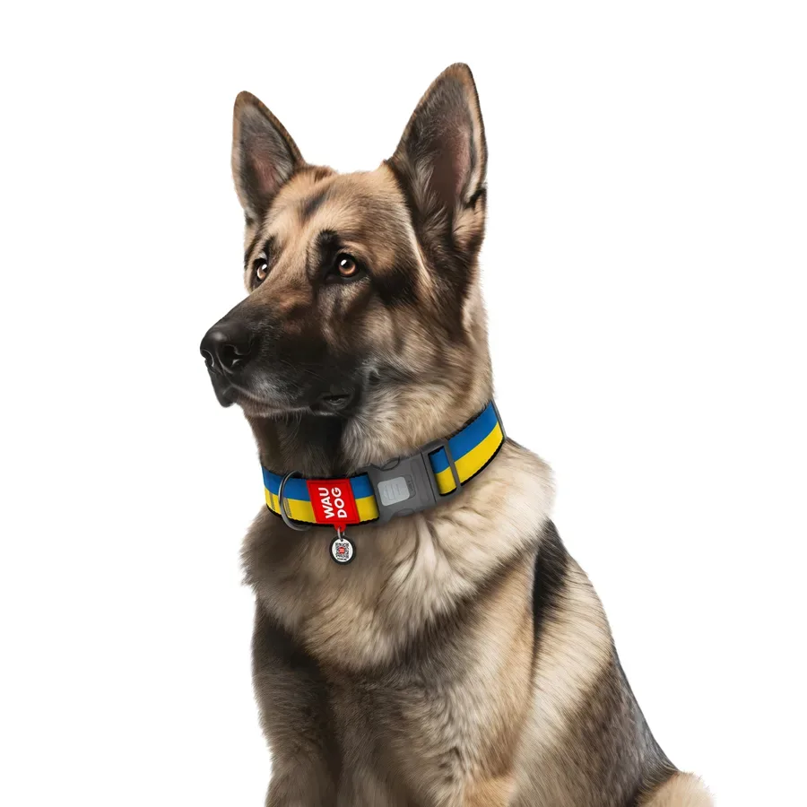 Нашийник для собак нейлоновий «Colors of freedom», XXL WAUDOG Nylon Collar Colors of Freedom