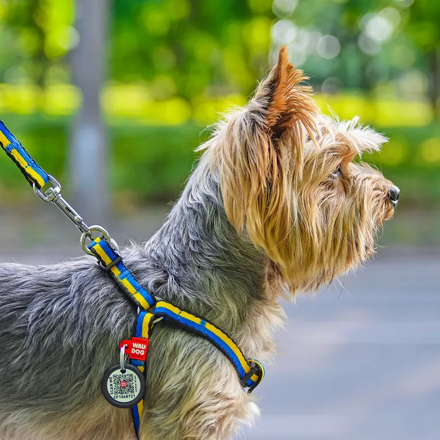 Шлея для котов и мелких пород собак «Colors of freedom», XS WAUDOG Nylon Harness Colors of Freedom