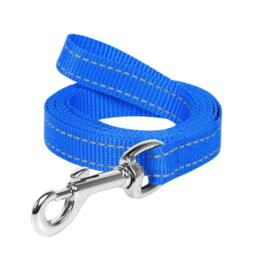 Поводок нейлоновый, 20 мм × 200 см, M, голубой Dog Extreme Leash
