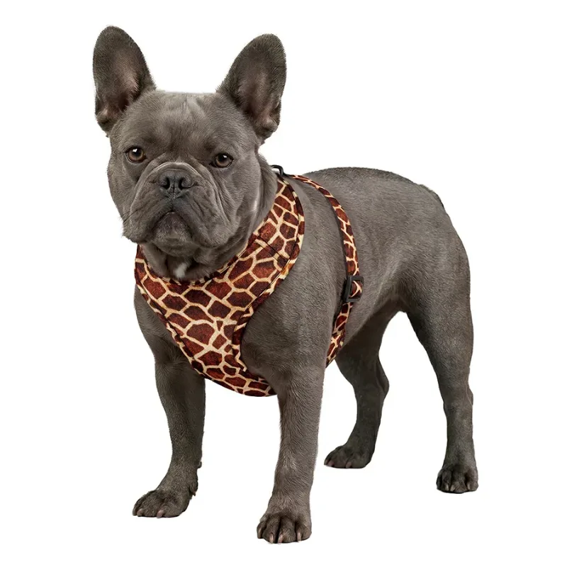 Шлея для собак дихаюча «Жираф», XS WAUDOG Mesh Soft Harness Giraffe