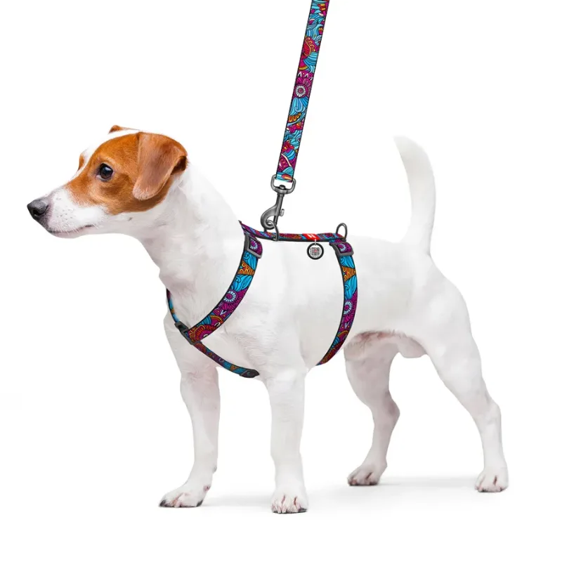 Шлея для собак анатомічна H-подібна «Літо», M WAUDOG Nylon Anatomic Harness Summer