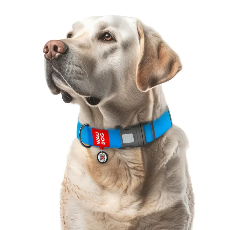 Нашийник для собак водостійкий, пластикова пряжка, XXL, блакитний WAUDOG Waterproof Collar