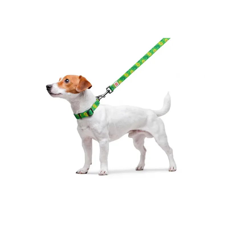Поводок для собак нейлоновый «Авокадо», M WAUDOG Nylon Leash Avocado