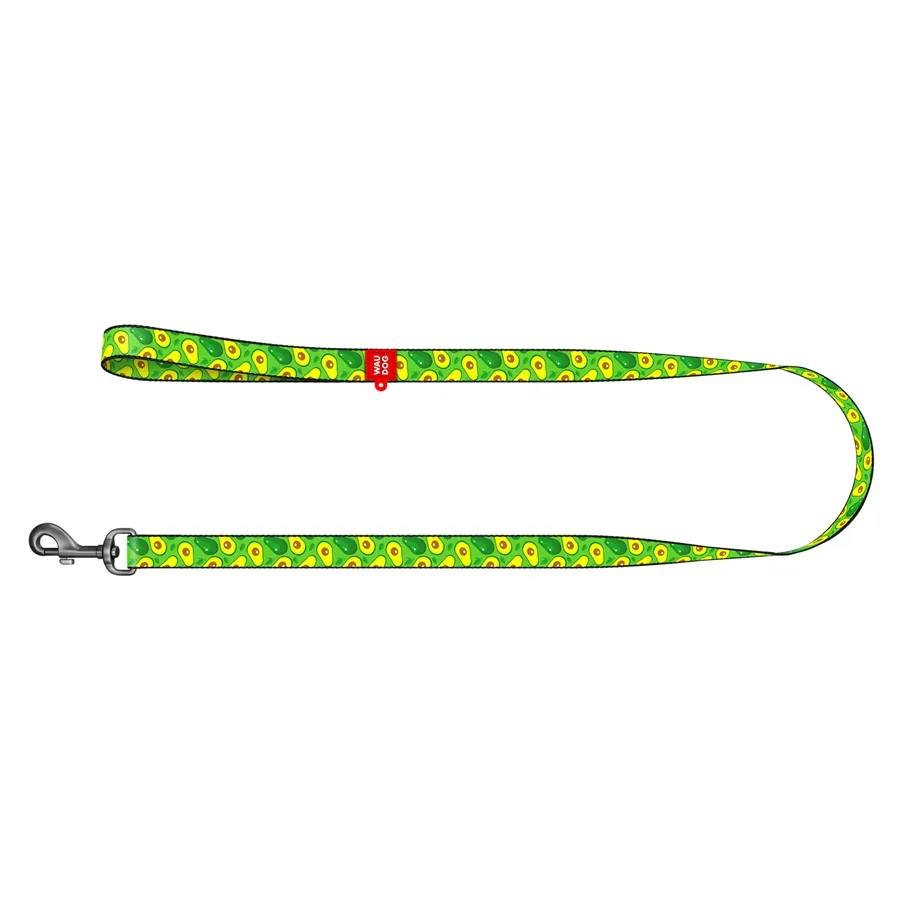 Повідець для собак нейлоновий «Авокадо», L-XXL WAUDOG Nylon Leash Avocado