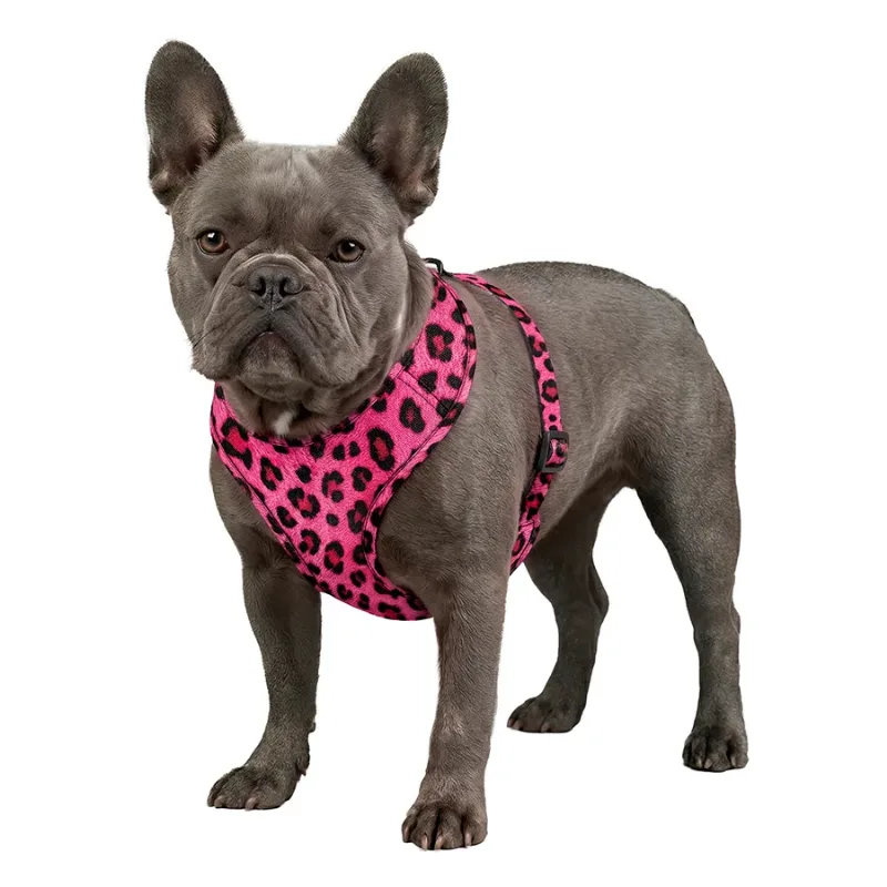 Шлея для собак дихаюча «Леопард рожевий», XS WAUDOG Mesh Soft Harness Pink Leopard