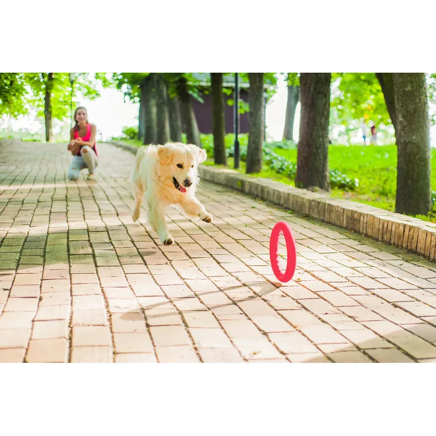 Кільце для апортировки 30, рожевий PitchDog Fetch Ring