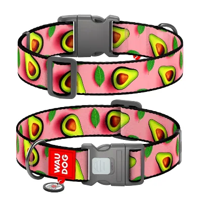 Нашийник для собак нейлоновий «Авокадо на рожевому», XXL WAUDOG Nylon Collar Avocado on Pink