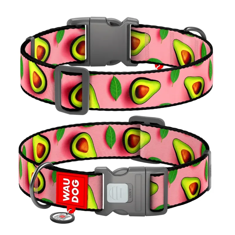 Ошейник для собак нейлоновый «Авокадо на розовом», XXL WAUDOG Nylon Collar Avocado on Pink