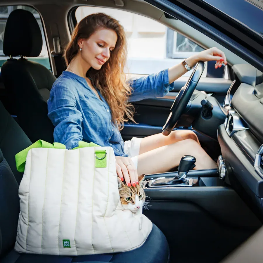 Сумка-переноска для кошек и мелких пород собак, 44*35*22 см, до 8 кг WAUDOG Relax Eco Pet Carrier