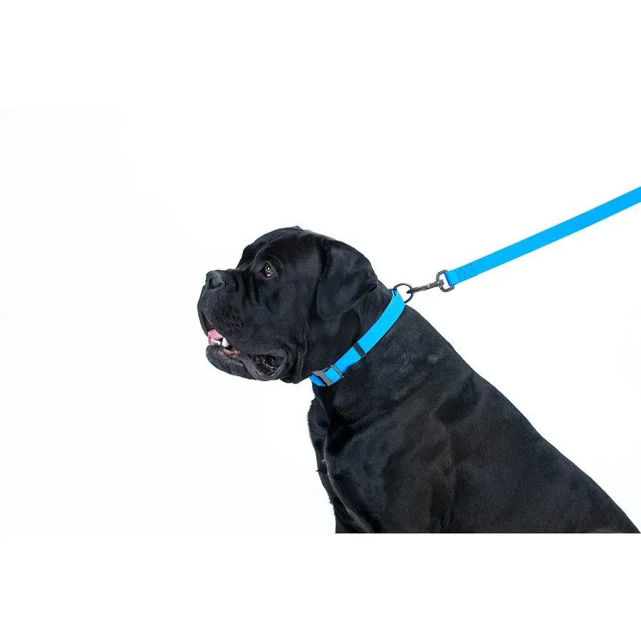 Повідець для собак водостійкий, 25 мм × 183 см, L-XXL, блакитний WAUDOG Waterproof Leash