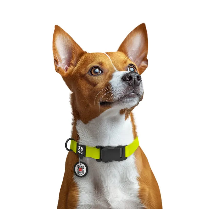 Ошейник для собак водостойкий, S, лимонный WAUDOG Magnet Collar
