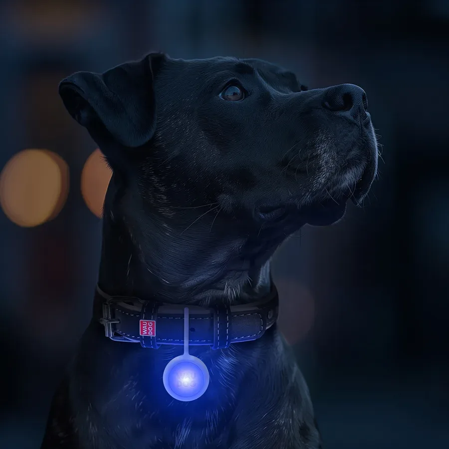 Ліхтарик для собак і котів, у силіконовому чохлі, що світиться, USB WAUDOG LED Light