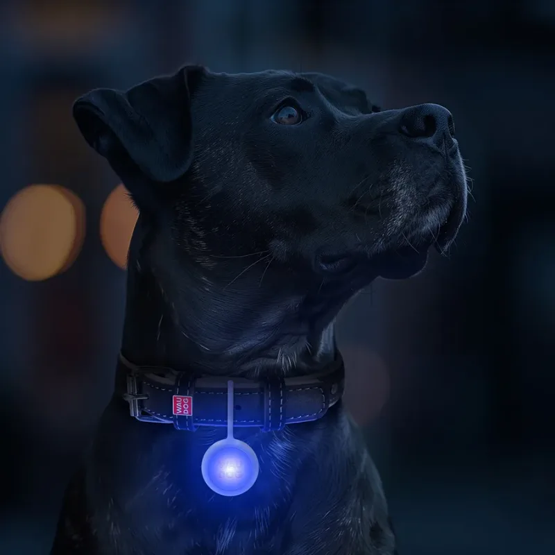 Ліхтарик для собак і котів, у силіконовому чохлі, що світиться, USB WAUDOG LED Light