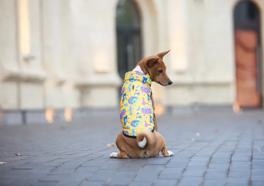 Курточка для собак «Рік та Морті 3», L65 WAUDOG Clothes Dog Jacket Rick and Morty 3