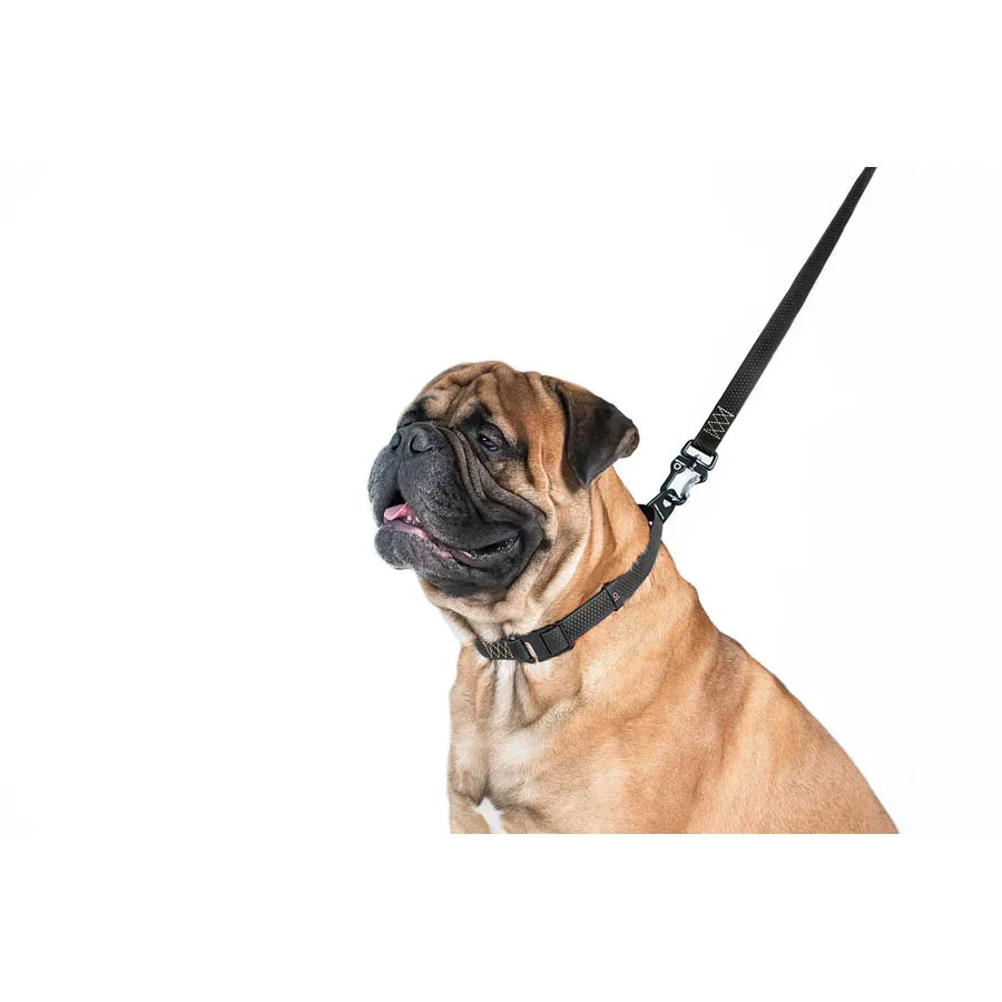 Поводок "Эволютор", XL, черный EVOLUTOR Leash