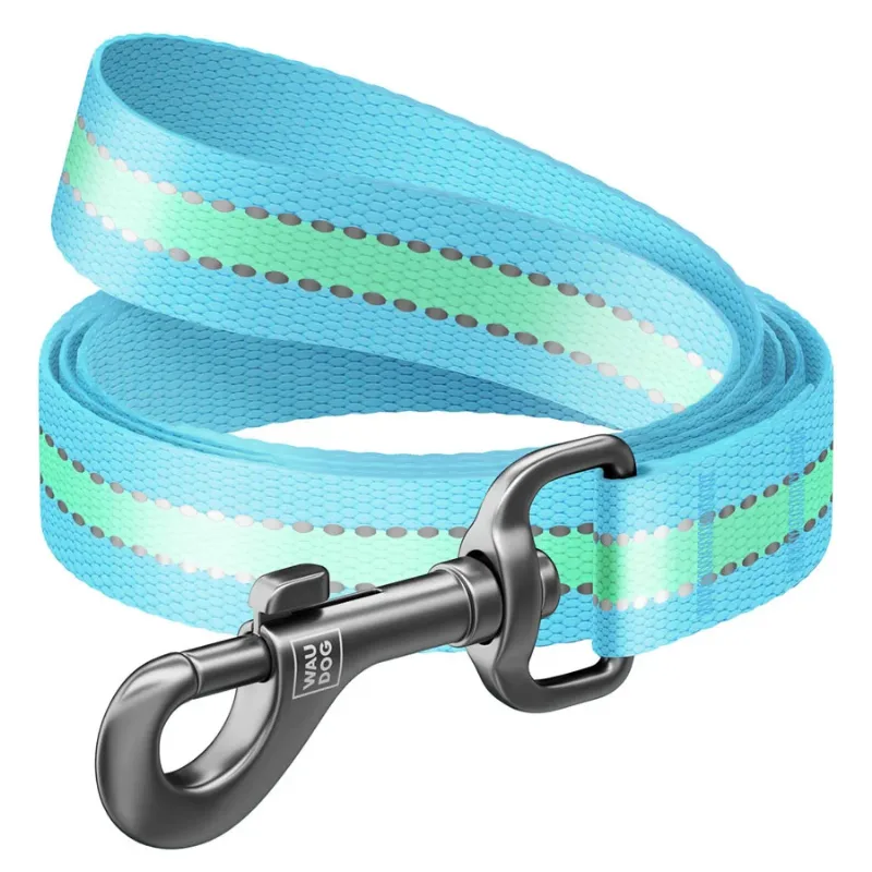 Повідець для собак нейлоновий, світонакоплювальний, S, блакитний WAUDOG Nylon Leash