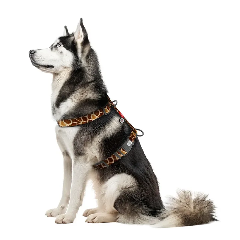 Шлея для собак анатомічна H-подібна «Жираф», XL WAUDOG Nylon Harness Giraffe
