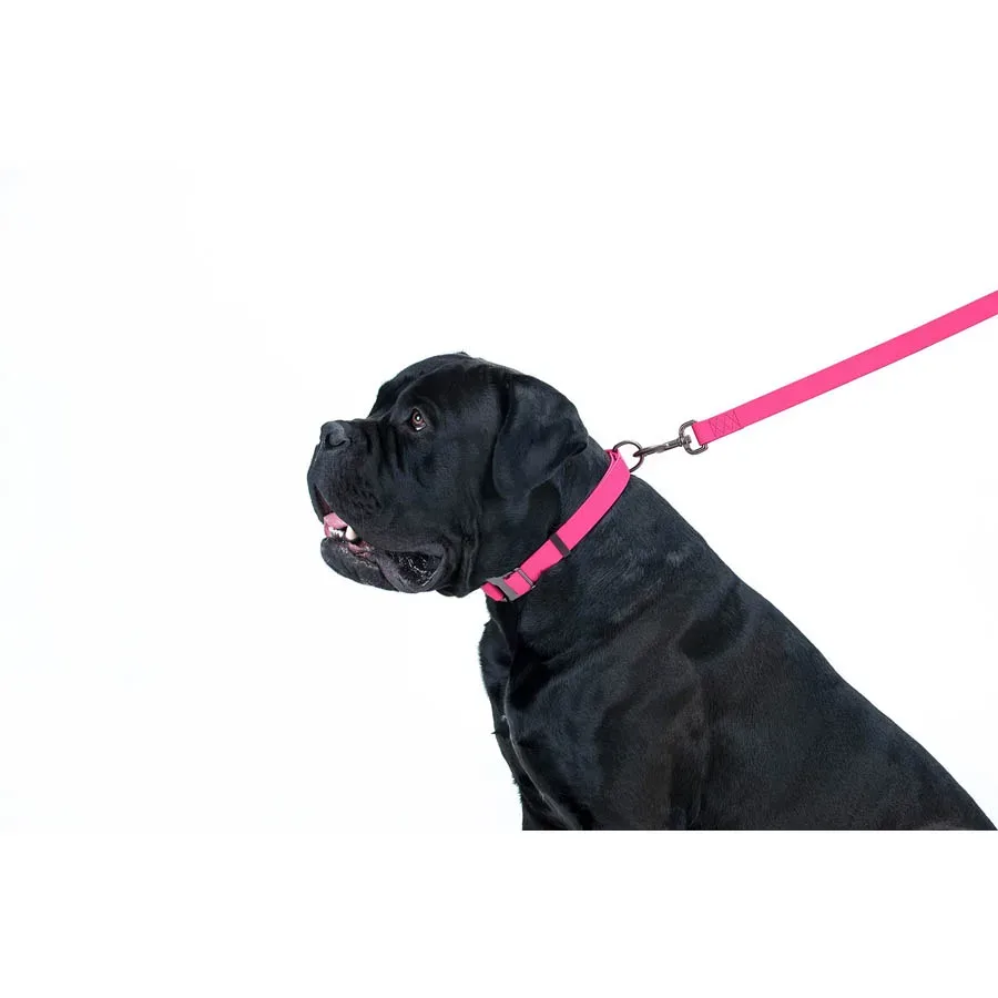 Поводок для собак водостойкий, 15 мм × 183 см, S, розовый WAUDOG Waterproof Leash