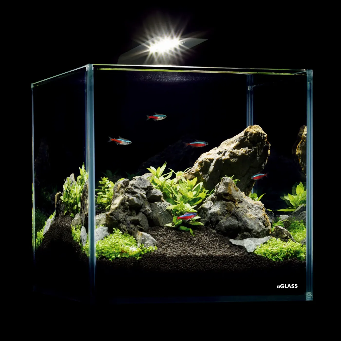 Комплект Nano Set 10 літрів AquaLighter Nano Aquarium Kit