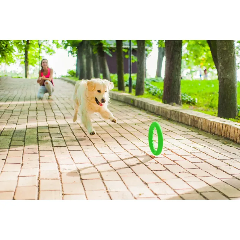 Кільце для апортировки 30, салатовий PitchDog Fetch Ring