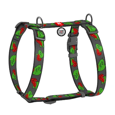 Шлея для собак анатомічна H-подібна, матеріал нейлон «Калина», L WAUDOG Nylon Anatomic Harness Kalyna
