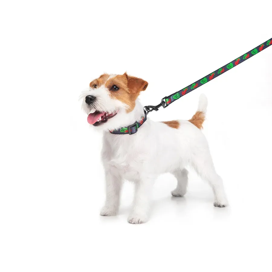 Повідець для собак нейлоновий «Калина», M WAUDOG Nylon Leash Kalyna