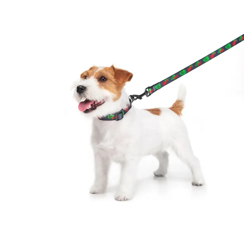 Повідець для собак нейлоновий «Калина», M WAUDOG Nylon Leash Kalyna