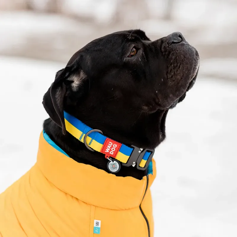 Ошейник для собак нейлоновый «Colors of freedom», L WAUDOG Nylon Collar Colors of Freedom