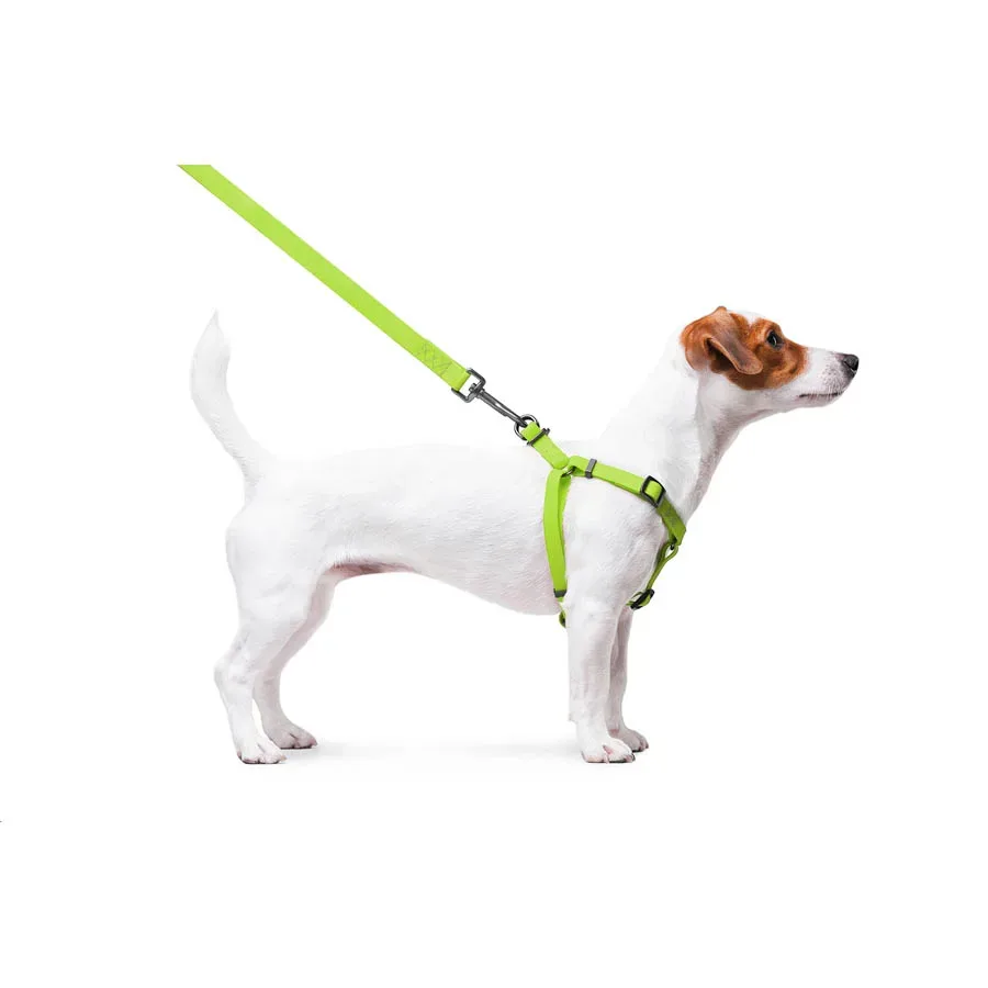Шлея для собак водостойкая, S, салатовый WAUDOG Waterproof Harness