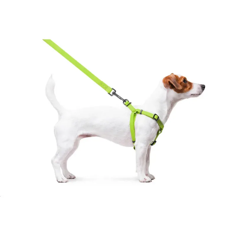 Шлея для собак водостойкая, S, салатовый WAUDOG Waterproof Harness