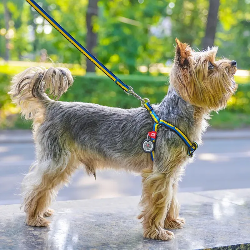 Шлея для котов и мелких пород собак «Colors of freedom», XS WAUDOG Nylon Harness Colors of Freedom