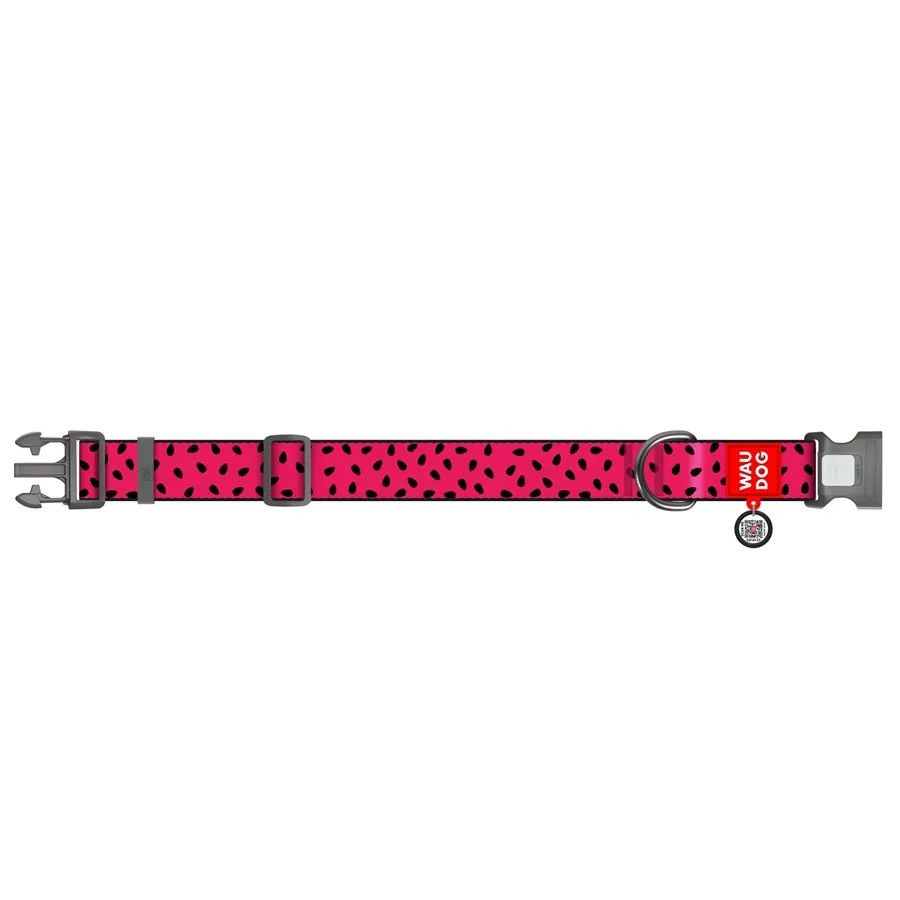 Нашийник для собак нейлоновий «Кавун», пластикова пряжка, XXL WAUDOG Nylon Collar Watermelon