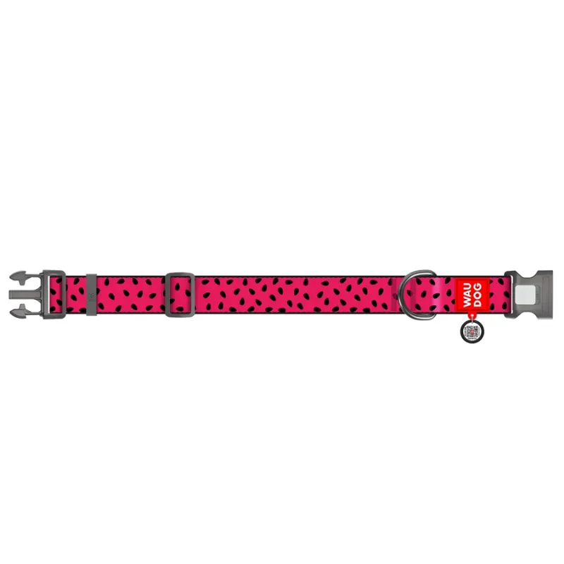 Нашийник для собак нейлоновий «Кавун», пластикова пряжка, XXL WAUDOG Nylon Collar Watermelon