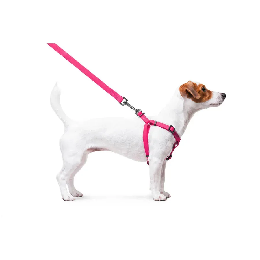 Шлея для собак водостойкая, S, розовый WAUDOG Waterproof Harness