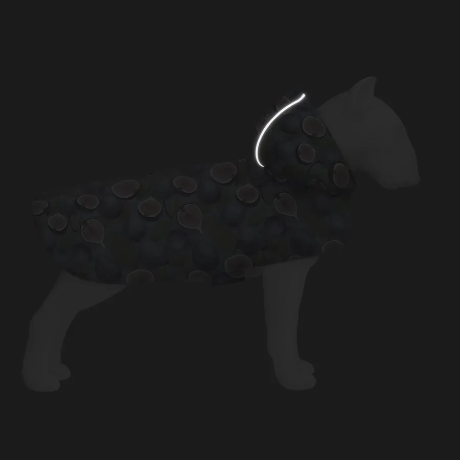 Дощовик-накидка з капюшоном для собак «Інжир», XL WAUDOG Clothes Dog Raincoat Figs